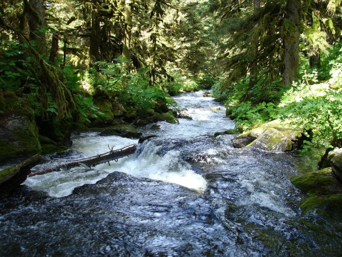 Afognak Wilderness Lodge