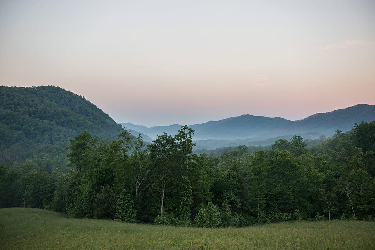 Blackberry Mountain