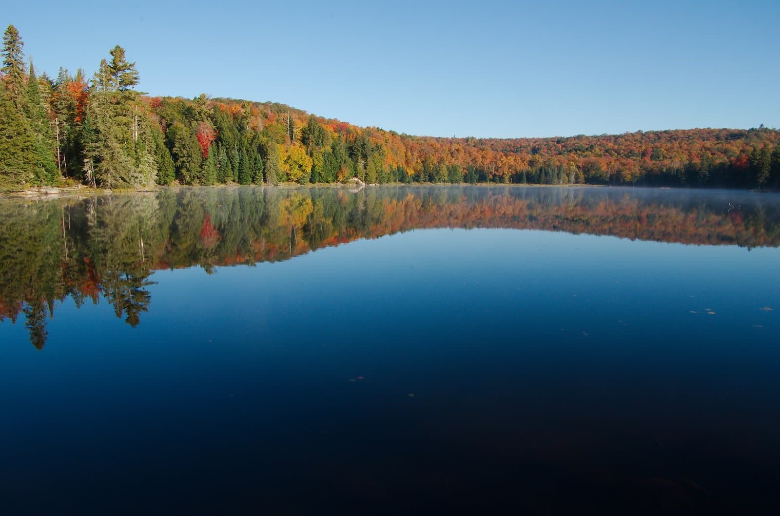 Algonquin Eco-Lodge