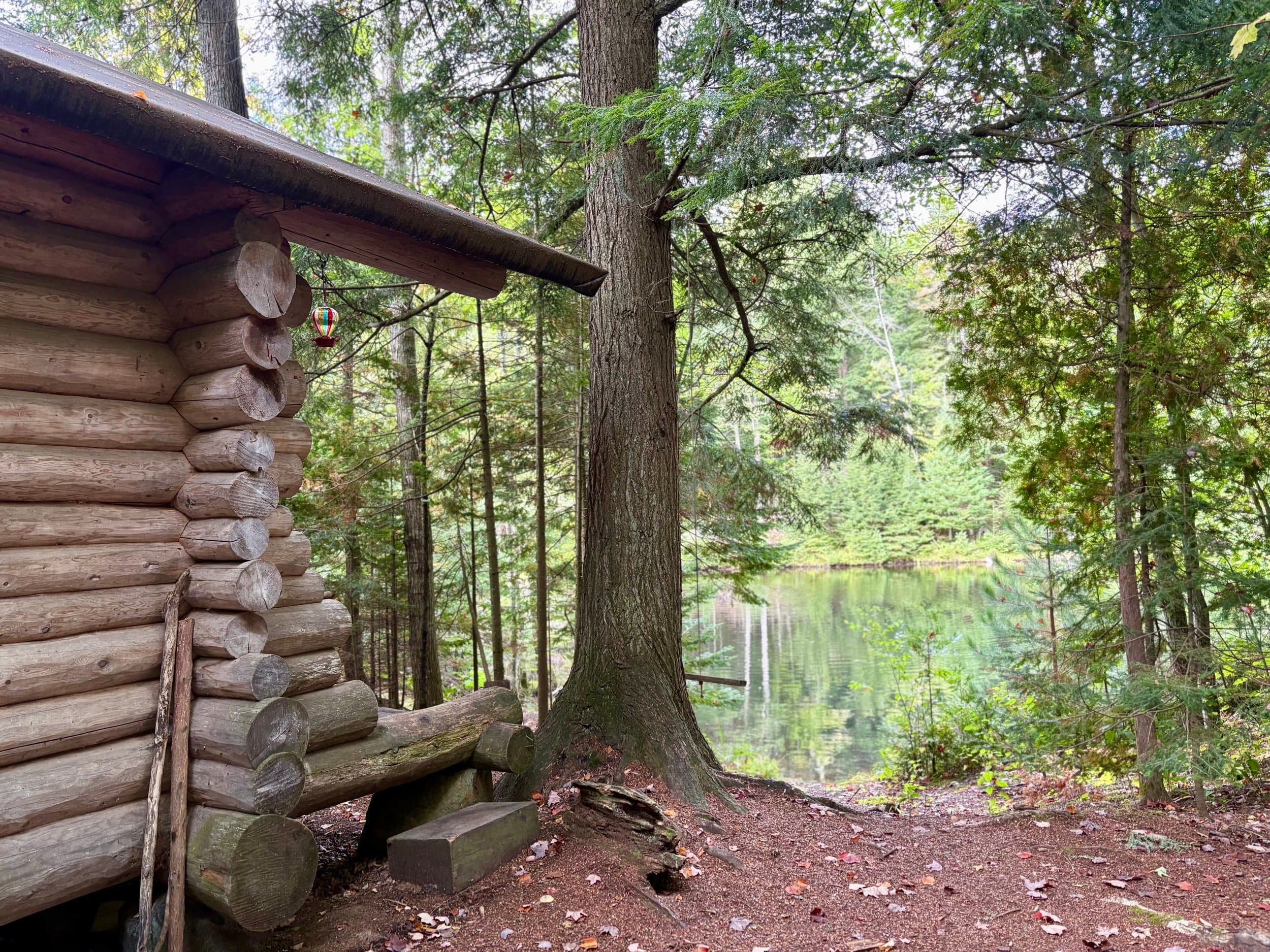 Bear Tree Homestead