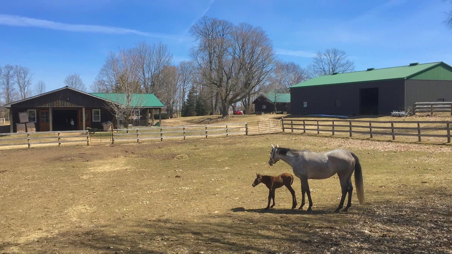 Glen Oro Farm in Hawkestone, ON