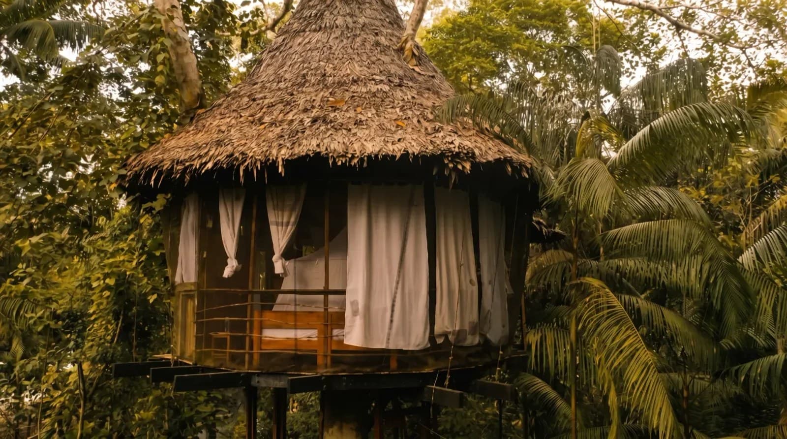 Treehouse Lodge Amazon Peru