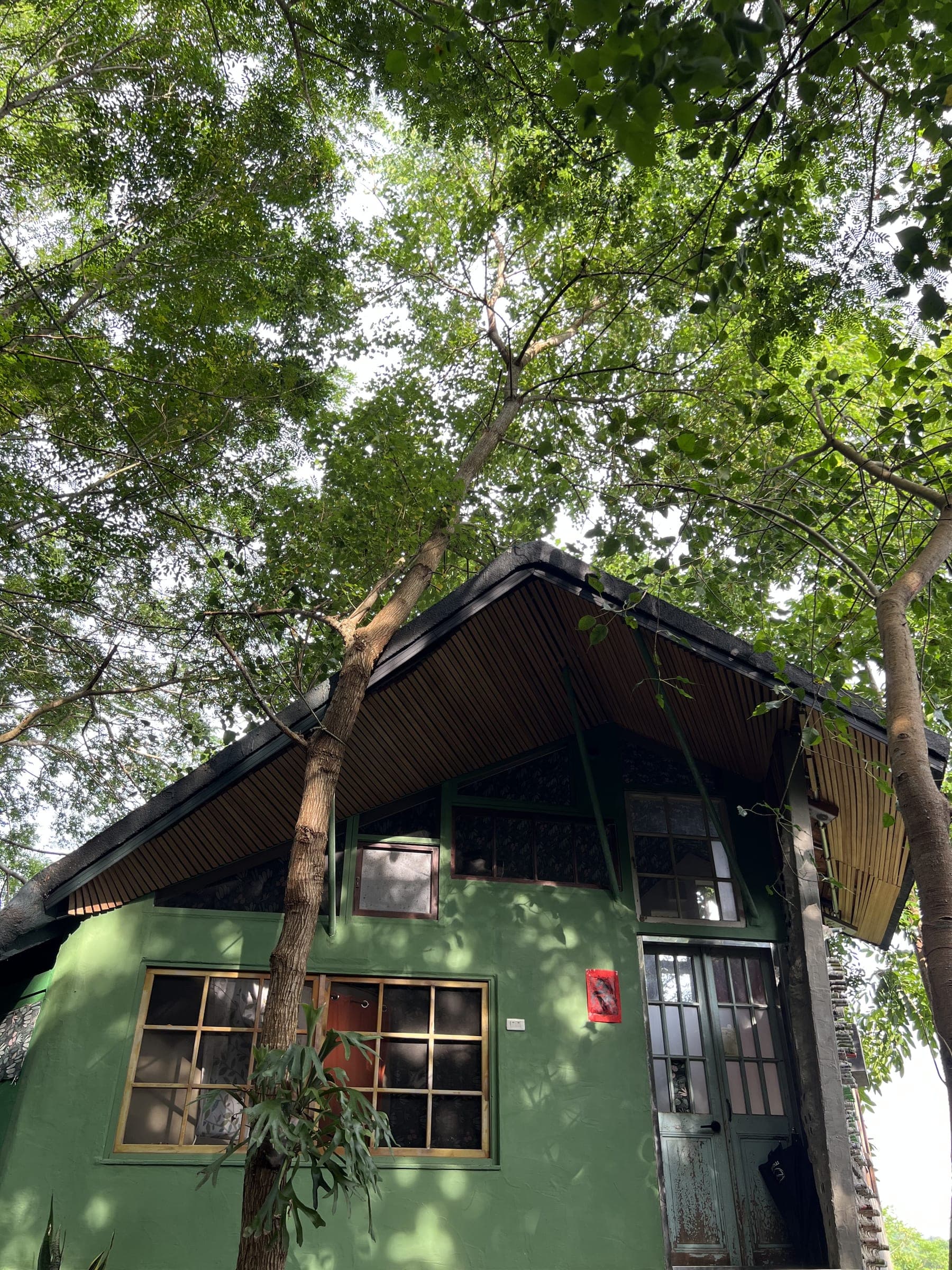 Taiwan ChaoChaoWo Yoga Healing Forest